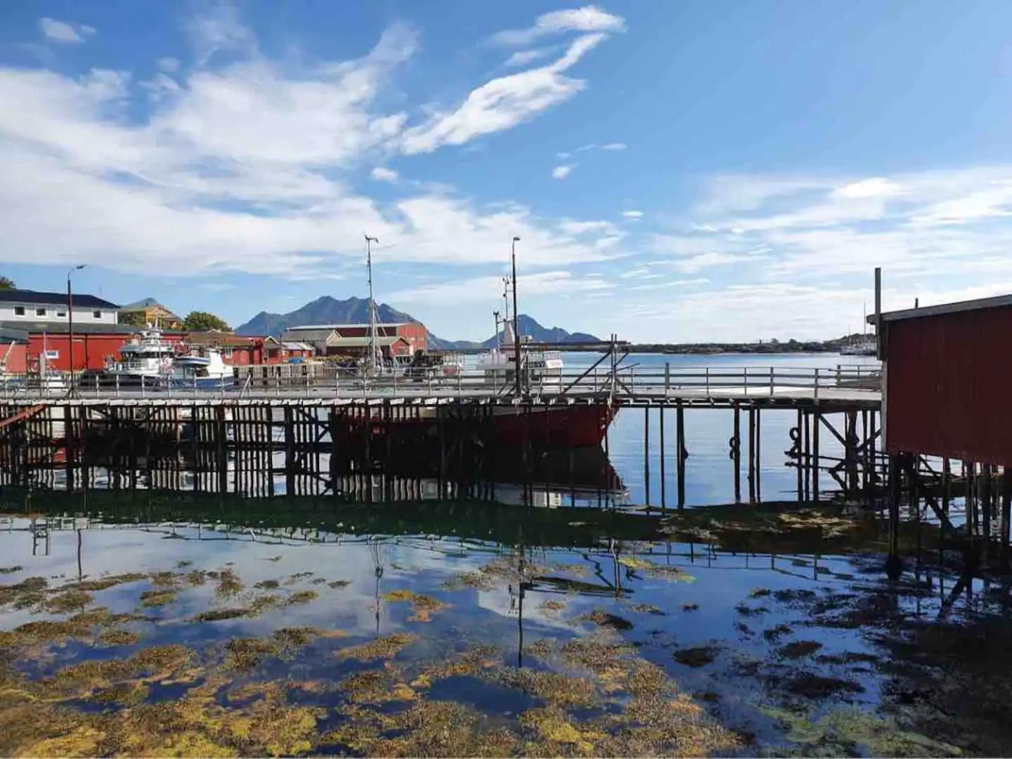 Real Fisherman'S Cabins In Ballstad, Lofoten Bagian luar foto